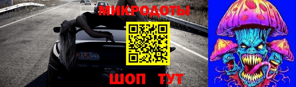 Псилоцибиновые грибы Psilocybe Артёмовский