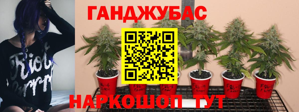 Бошки марихуана ГИДРОПОН  Каннабис OG Kush  Вход с VPN  Каннабис SATIVA & INDICA  Артёмовский 